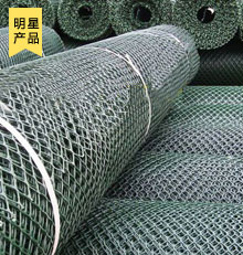 塑料土工網